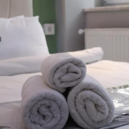 Taxim Starlight فندق